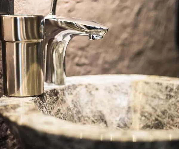 Mansion Gorki 酒店 *