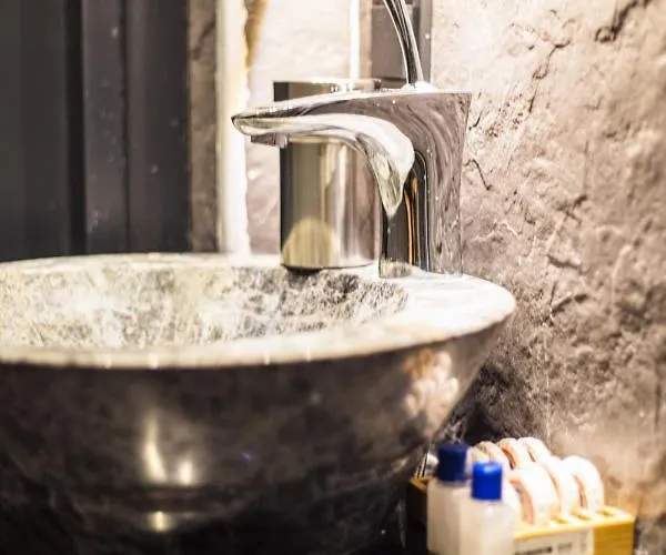 Mansion Gorki 酒店 *