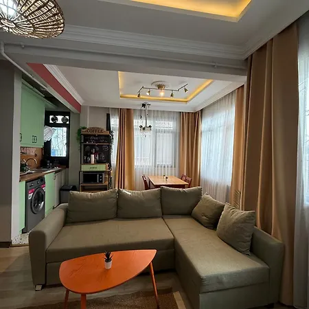 Mansion Gorki 酒店 伊斯坦布尔